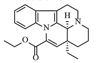 1-圖片1.png